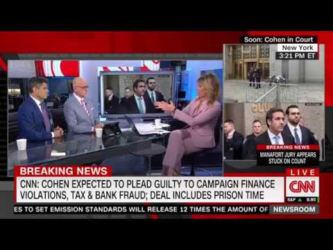 John Lauro discusses the Michael Cohen Plea Deal on CNN