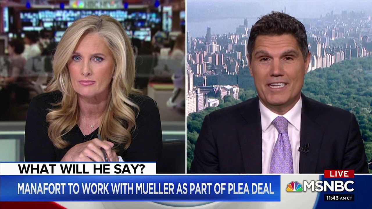 John Lauro Interviewed By MSNBC On Manafort Plea